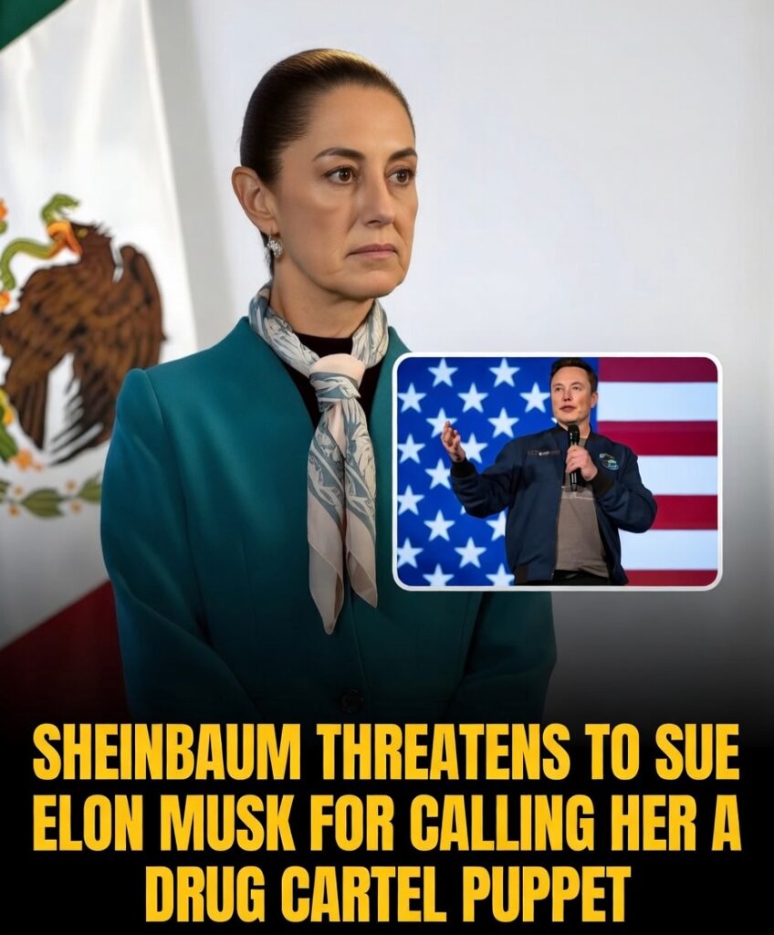 Mexican President Sheinbaum Threatens to Sue Elon Musk for Calling Her ‘Drug Cartel Puppet’ – The Full Explosive Story Shaking International Relations in 2026