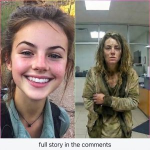 After 7 Years Missing in Yellowstone, Hiker Returns With Grandchild Secret