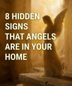 8 Gentle Signs Some Believe Angels May Be Near Your Home—Comfort After Loss or Change