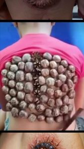 Approaching Women Doesn’t Have to Be Terrifying—One Simple Mindset Shift Changes Everything After 40