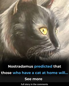 Nostradamus Predicted That Those Who Have a Cat at Home Will…