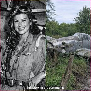 Fighter Pilot Vanished in 1944 — 70 Years Later Plane Found in Forest Changes Everything