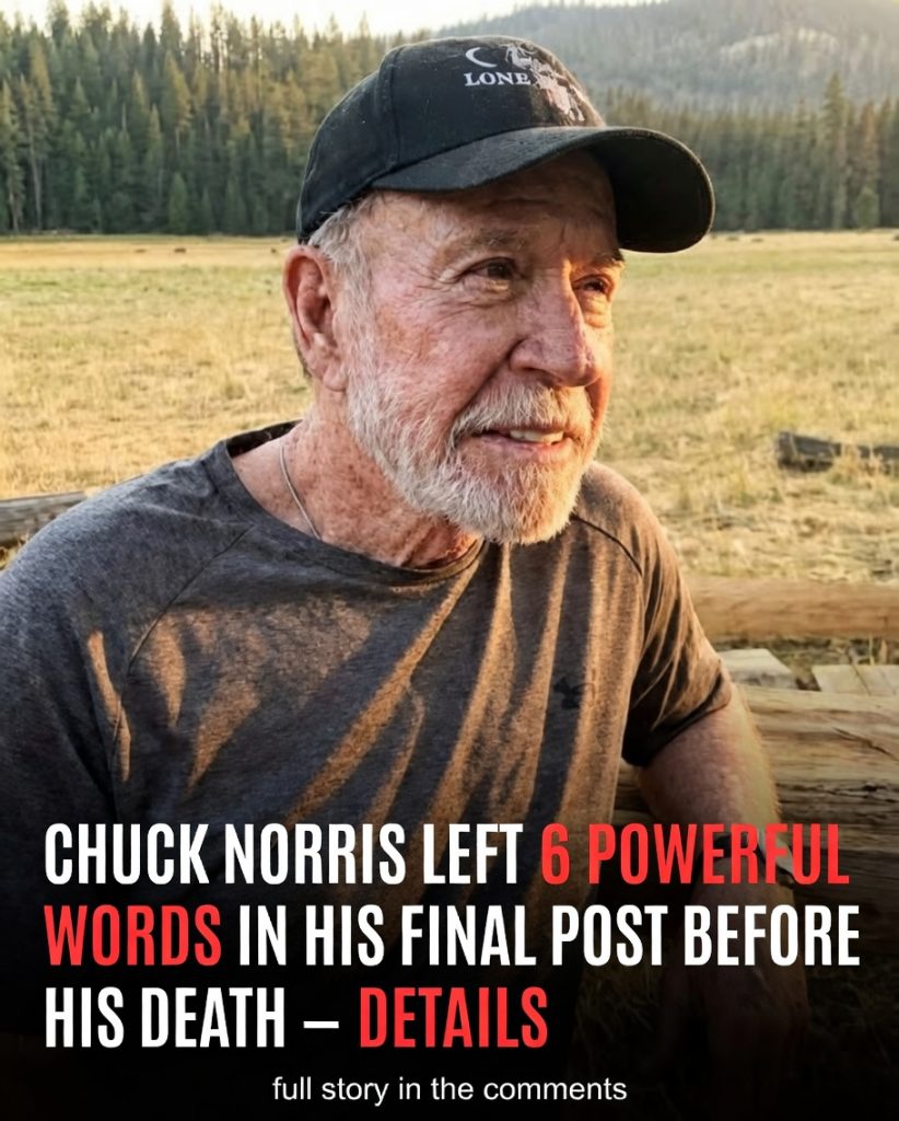 Chuck Norris Dies at 86 After Sudden Hawaii Hospitalization