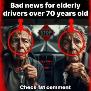 Bad News for Elderly Drivers Over 70 Years Old — New Rules, Insurance Hikes & License Changes Are Hitting Hard… What Every Family Over 40 Needs to Know Now