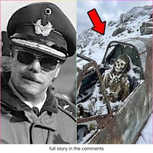 German Pilot Vanished in WWII — 82 Years Later Plane Found in Alps Reveals Hidden Will