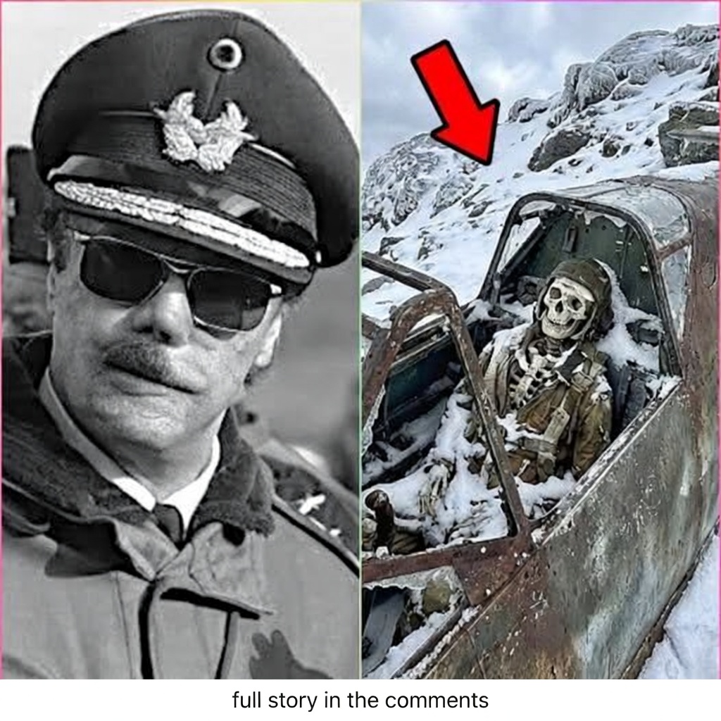 German Pilot Vanished in WWII — 82 Years Later Plane Found in Alps Reveals Hidden Will