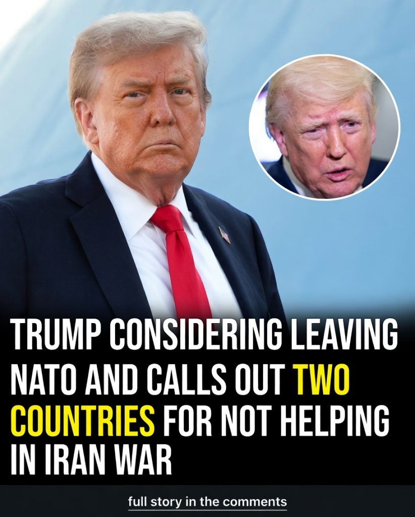 Trump Signals NATO Exit in Explosive Remarks
