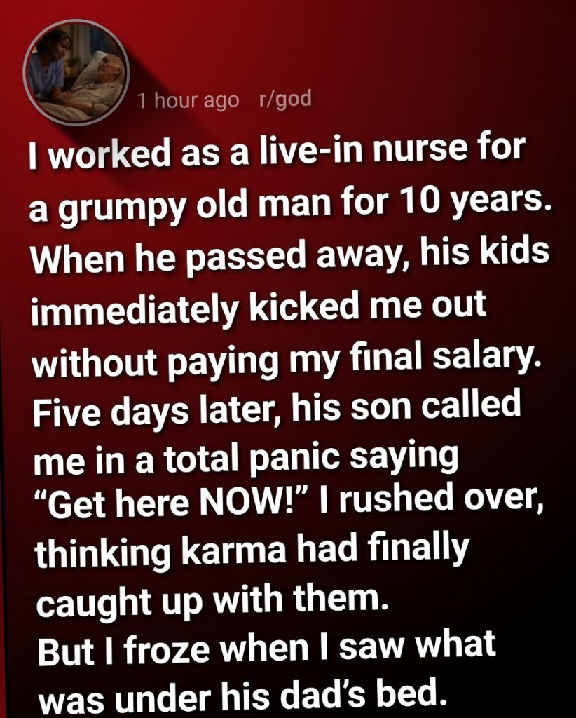 Nurse Kicked Out After Ten Years of Service Discovers Heartbreaking Hidden Box That Changes Her Life Forever