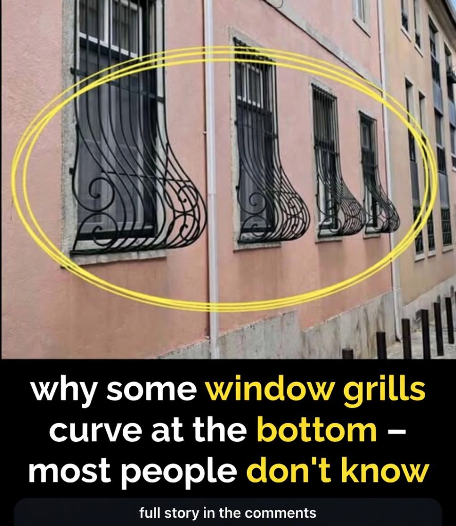 Why Those Curved Window Bars Actually Make Perfect Sense