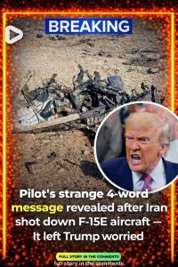 Pilot’s Strange 4-Word Message After Iran Shoot-Down Sparks Rescue Drama