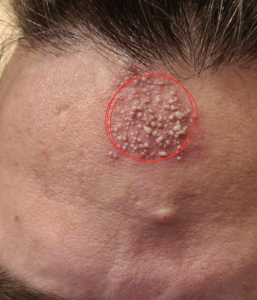 The Invisible Nightly Sabotage