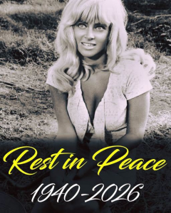 Hollywood Mourns The Loss Of An Absolute Legend Why The Cool Hand Luke Icon Walked Away From Fame To Build A Secret Empire In Her Own Kitchen