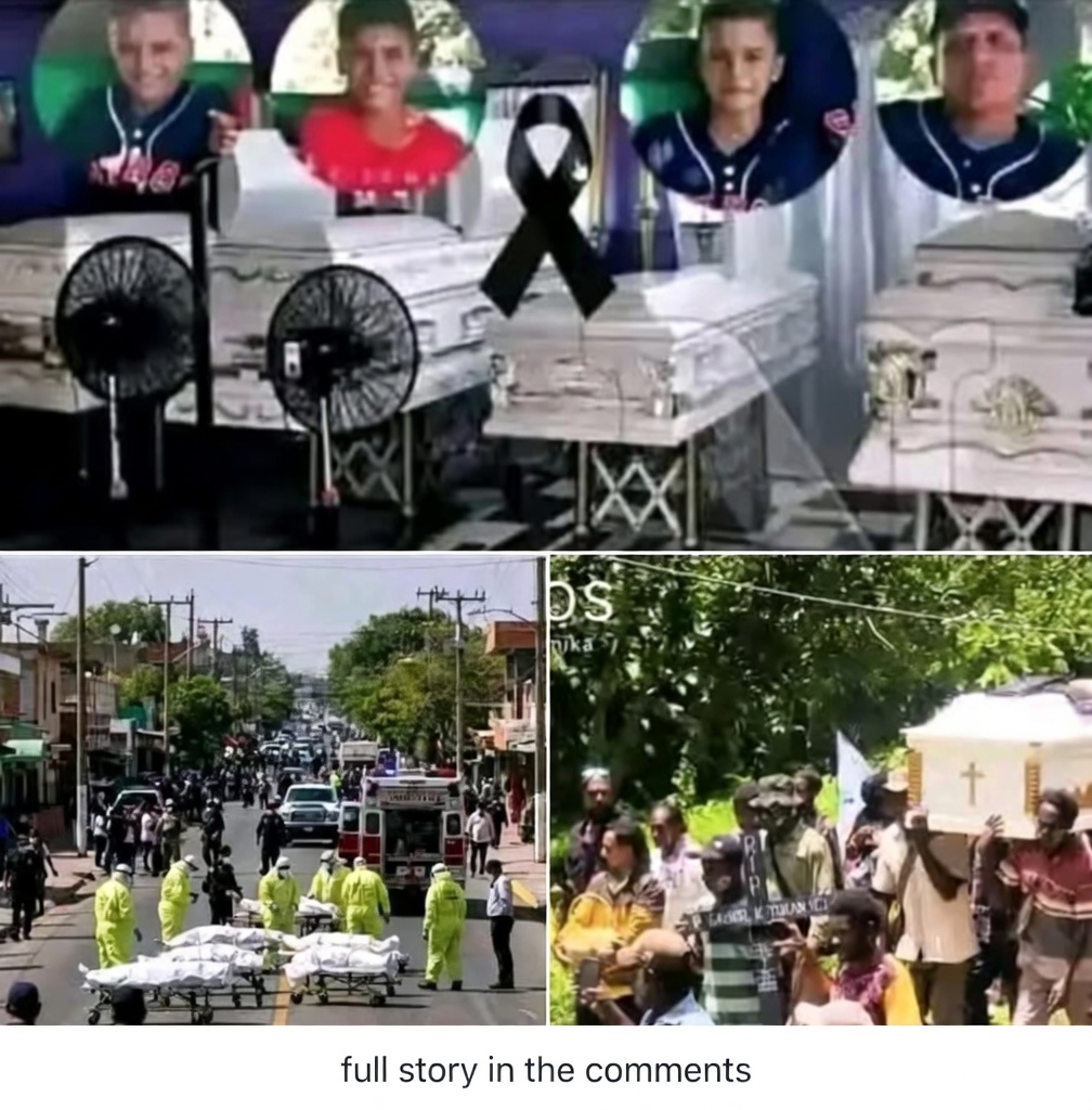 Hidden Domestic Struggles Behind a Tragic Neighborhood Incident