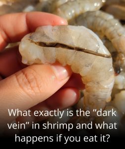 The Hidden Truth About The Shrimp Vein And Why You Need To Know What You Are Really Eating Before Your Next Seafood Dinner – The Shocking Health Risk That Could Quietly Threaten Your Retirement Savings And Grandchildren’s Future