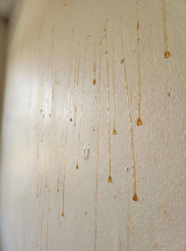 The Terrifying Reason Yellow Slime Is Oozing Down Your Bathroom Walls And Why You Need To Act Immediately Before It Destroys Your Home – The Hidden Household Danger That Could Quietly Threaten Your Retirement Savings And Grandchildren’s Future
