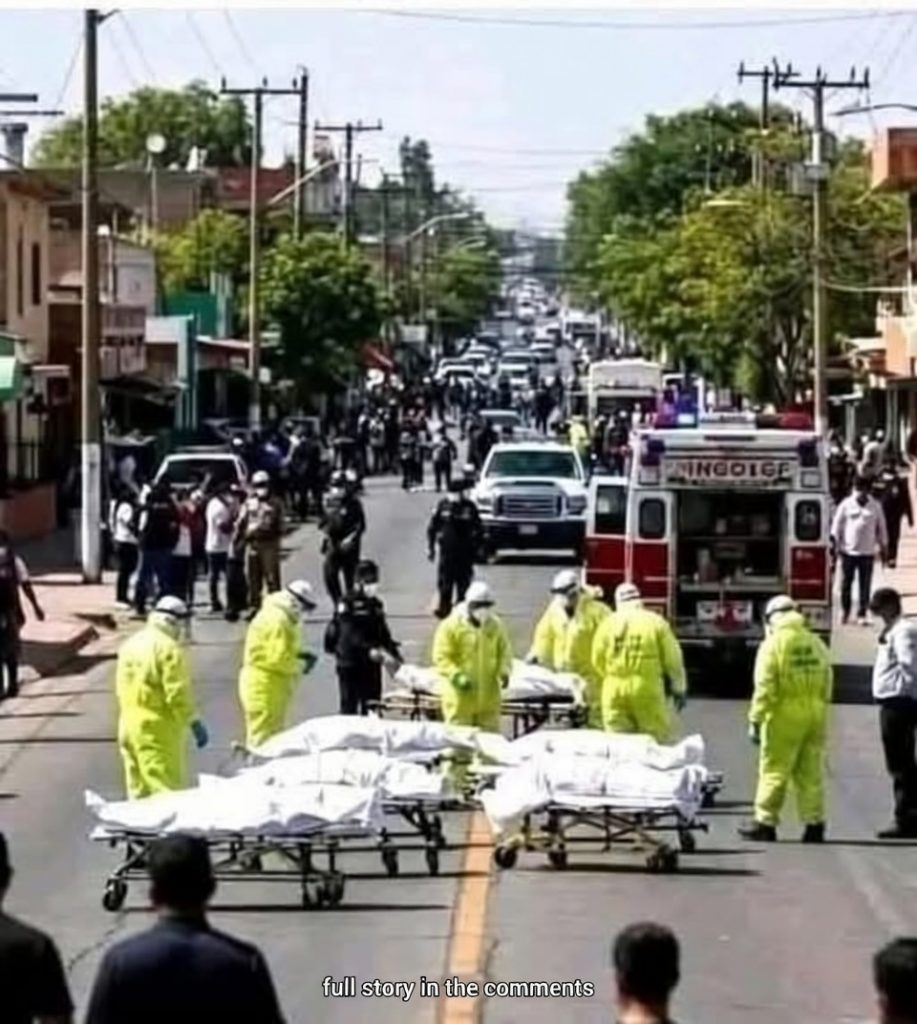 They Thought It Was Just Another Season — What Happened Next Changed Everything