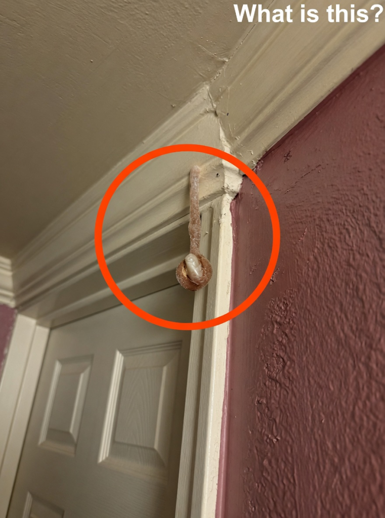 We Found Something Terrifying Hiding Inside Our Hotel Room Wall