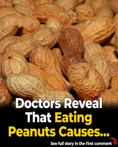 Why Eating a Handful of Nuts Every Day Could Be One of the Best Things You Do for Your Brain