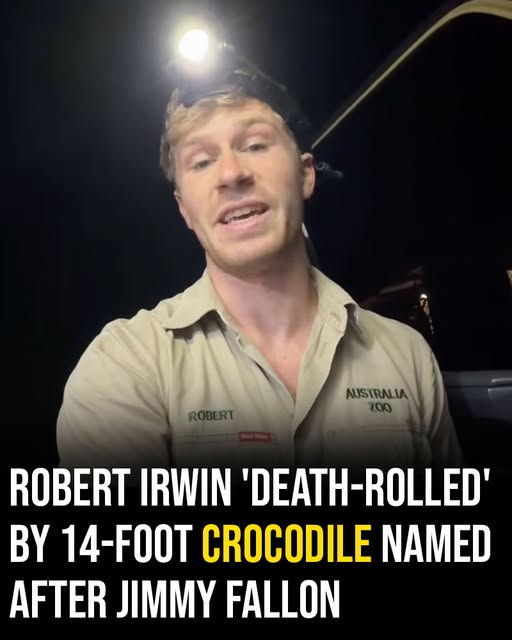 The Son of Steve Irwin Fought for His Life After a Massive 14-Foot Crocodile Dragged Him Into a Terrifying Death Roll