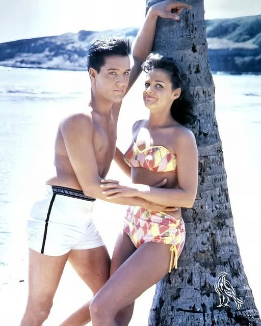 Elvis Presley’s Heartbreaking Secret While Filming Blue Hawaii – The Tragic Truth Behind His Final Paradise Vacation