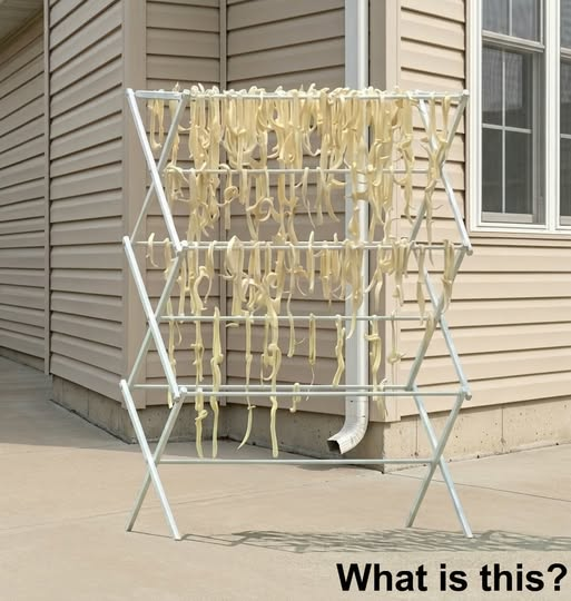 I Was Convinced My Neighbor Was Hiding a Grisly Secret Until I Saw What Was Really Hanging in the Sun