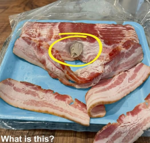 I Stopped by the Store, Picked Up Some Bacon, and Took It Home to Eat – What I Found Inside Left Me Speechless