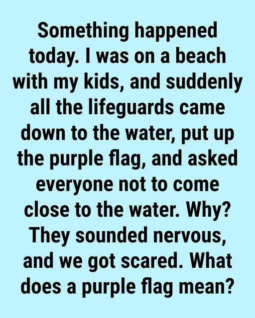 Danger in the Water: Why That Purple Flag at the Beach Could Save Your Life