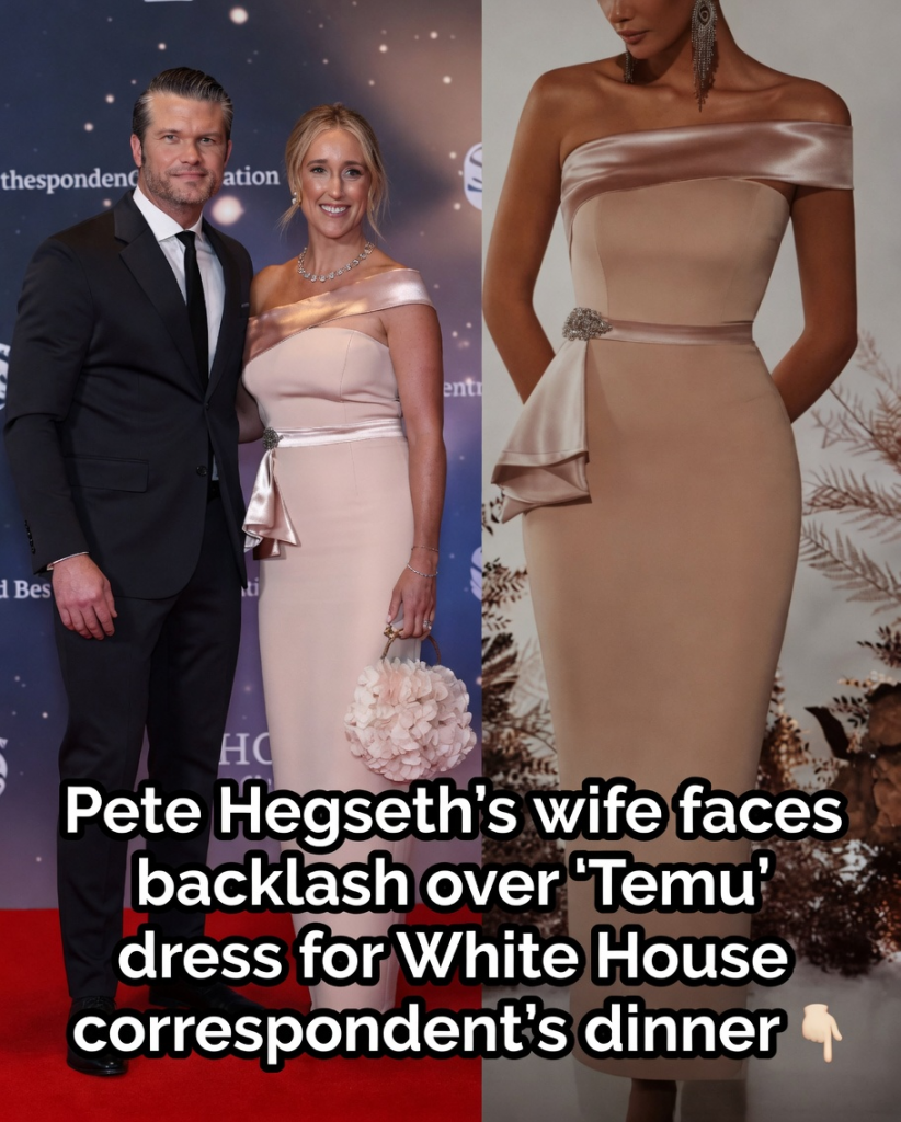 The Viral Dress from the 2026 Correspondents’ Dinner That Sparked a Massive National Debate