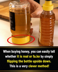 The Simple Bottle Flip Test That Reveals Whether Your Honey Is Real or Fake