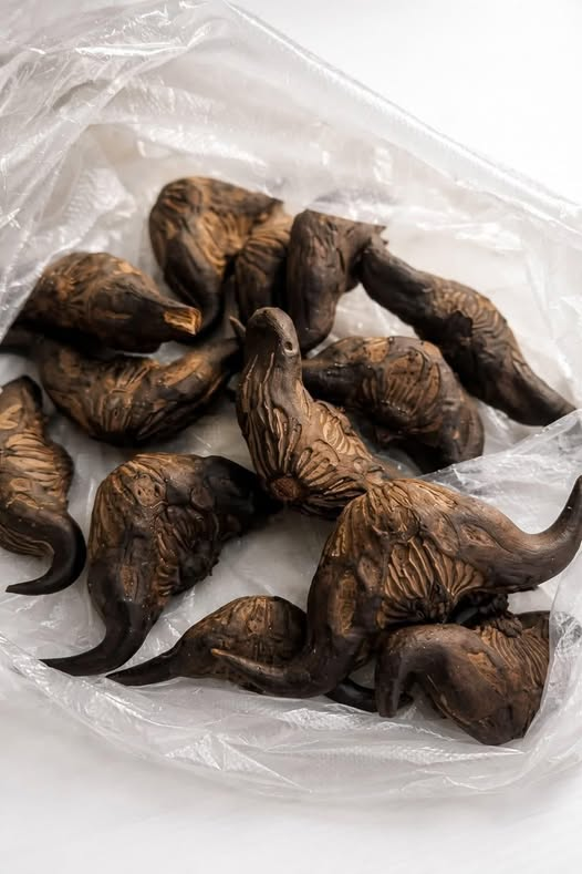 I Found a Mysterious Bag of Fresh Food on My Doorstep — What Happened Next Surprised Me