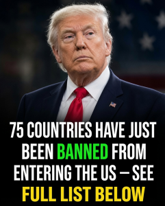 U.S. Visa Freeze on Dozens of Countries Ignites Heated Debate Over Security, Family, and Fairness