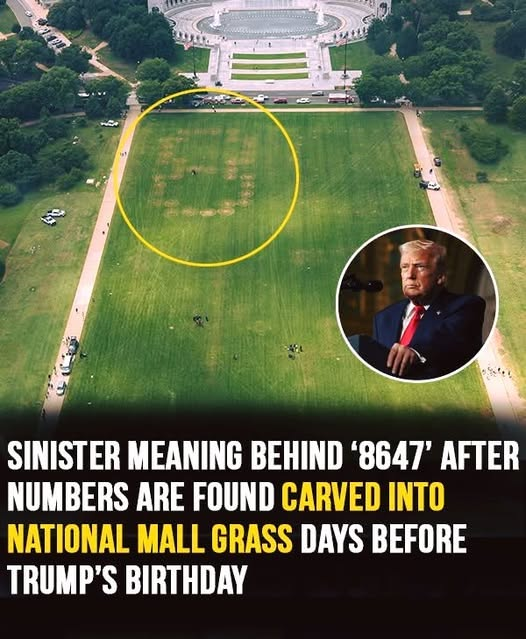 Questions Arise After 8647 Numbers Appear in National Mall Grass