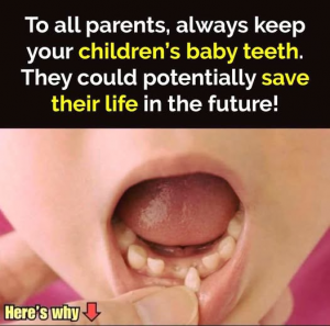 Your Child’s Baby Teeth Could Hold Valuable Medical Potential for the Future