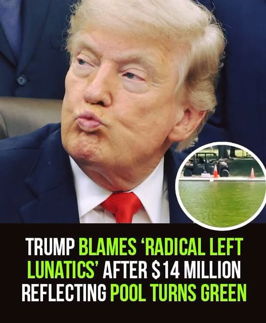 Trump Reacts After a $14 Million Reflecting Pool Reportedly Turned Green, Blaming Radical Left Critics