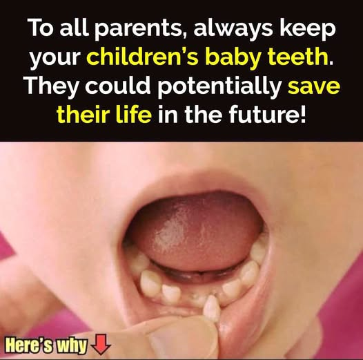 Your Child’s Baby Teeth Could Hold Valuable Medical Potential for the Future