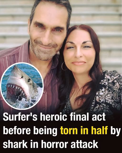 Surfer’s Final Moments Before a Tragic Shark Incident