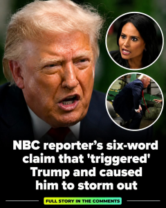 EXPLOSIVE SEVEN WORD TRAP LEAVES TRUMP RED FACED AND RUNNING FOR THE EXIT