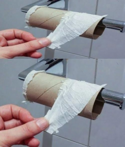 WHY MORE PEOPLE ARE RETHINKING TOILET PAPER AND CHOOSING GREENER BATHROOM HABITS