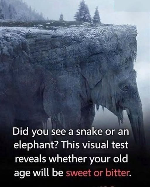 The First Animal You See Could Reveal a Shocking Truth About How You Think