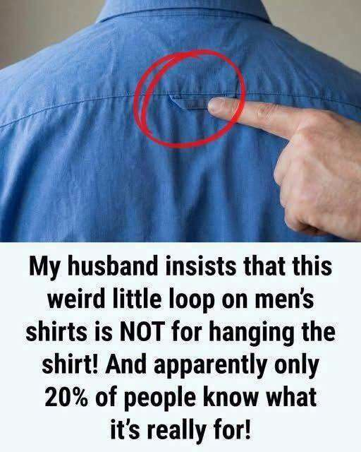 That Tiny Loop on the Back of Your Shirt Has a Surprising History – From Practical Tool to Secret Social Signal