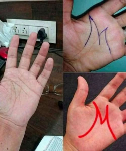 The Letter M on Your Palm: What Palmistry Claims and What Science Actually Knows